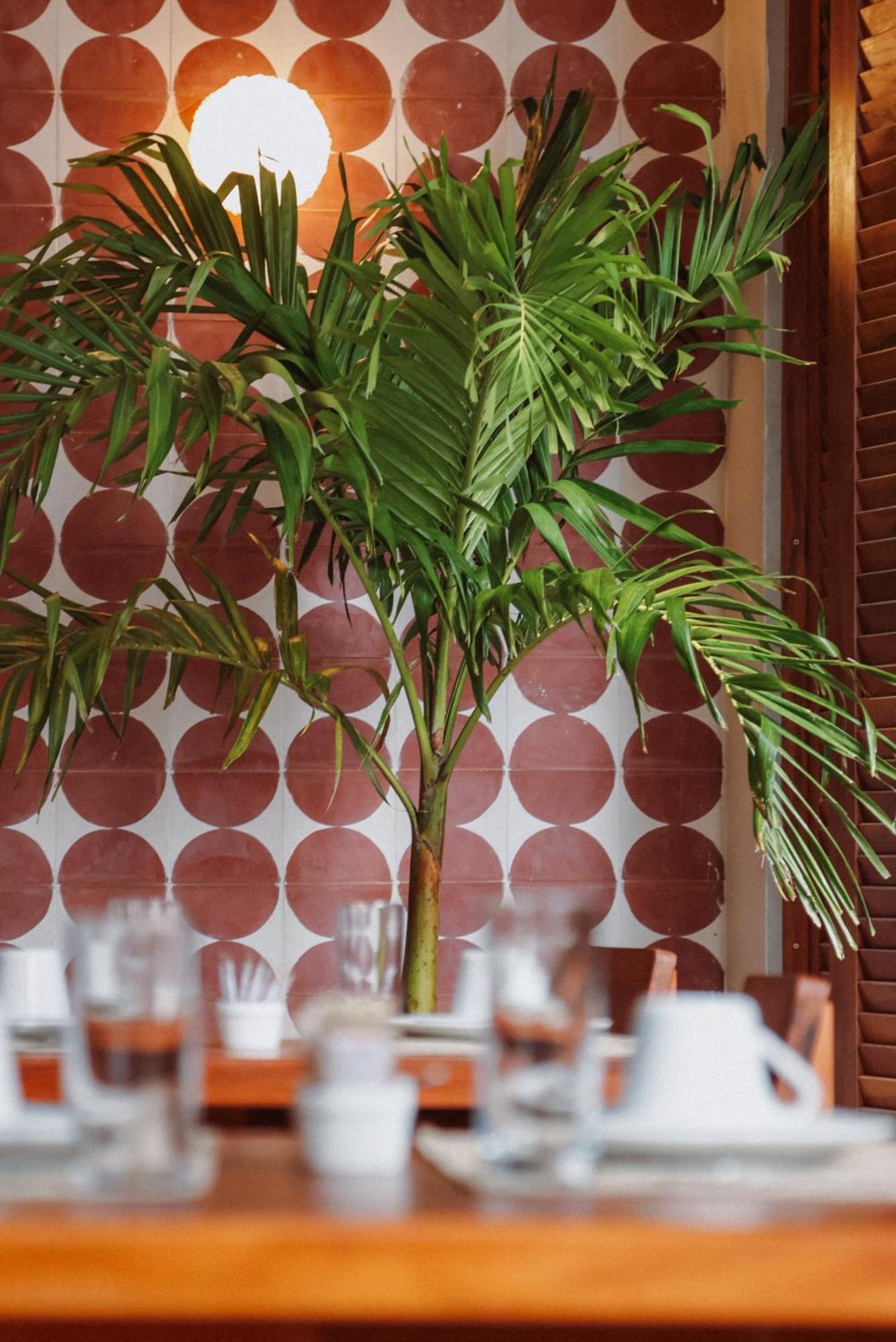 Luau Hotel Guajiru  Kültér fotó