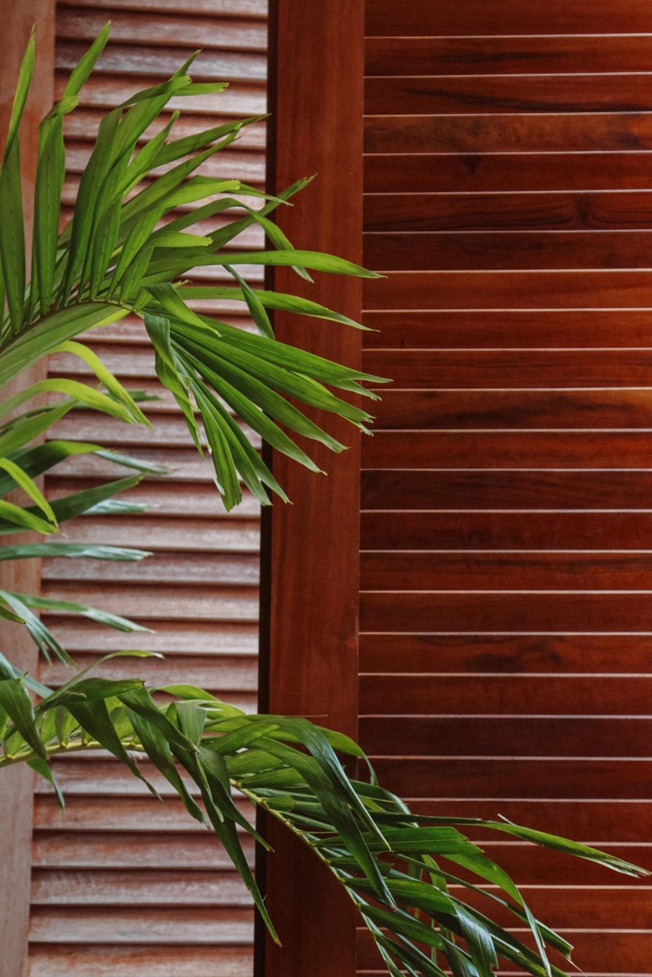 Luau Hotel Guajiru  Kültér fotó
