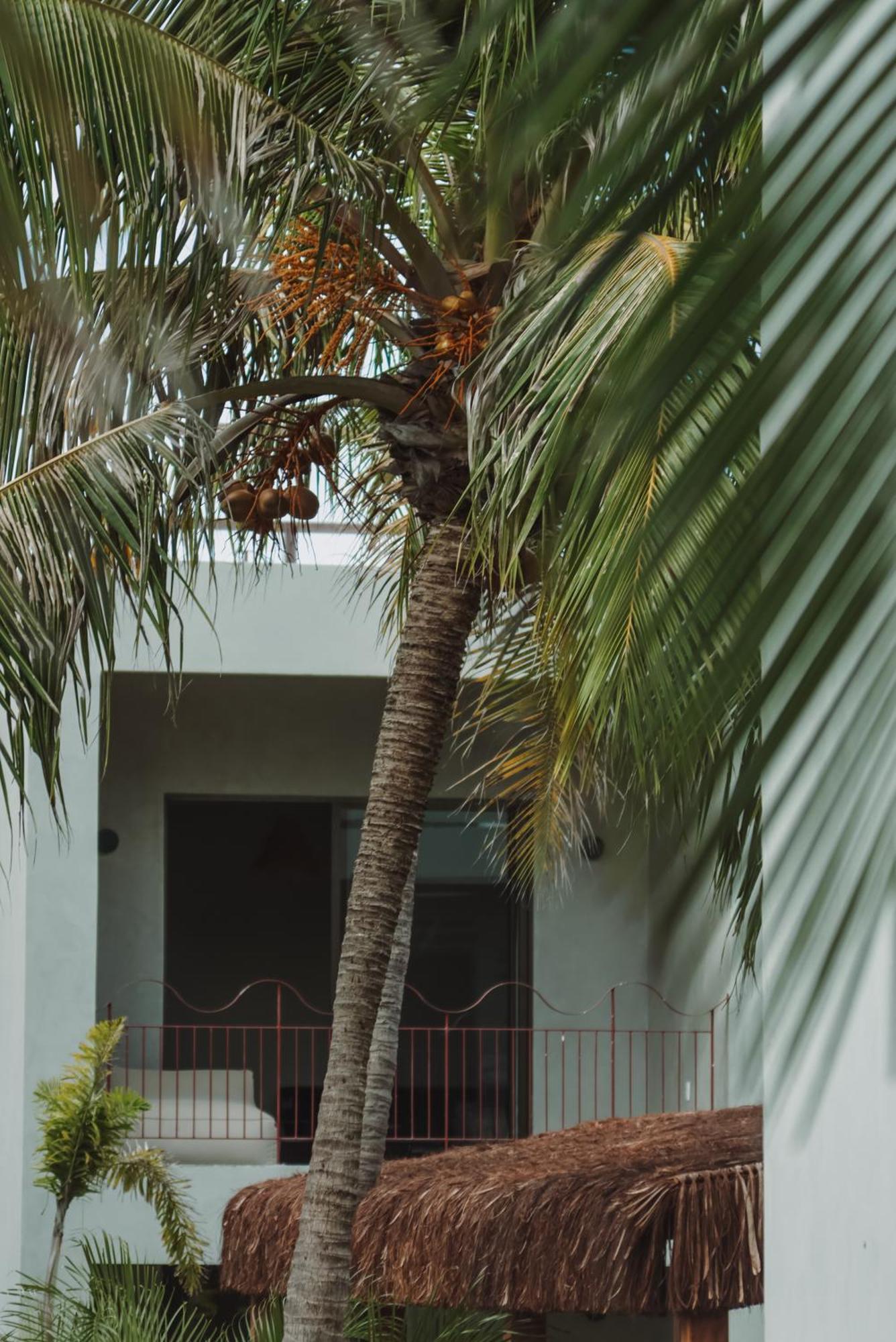 Luau Hotel Guajiru  Kültér fotó